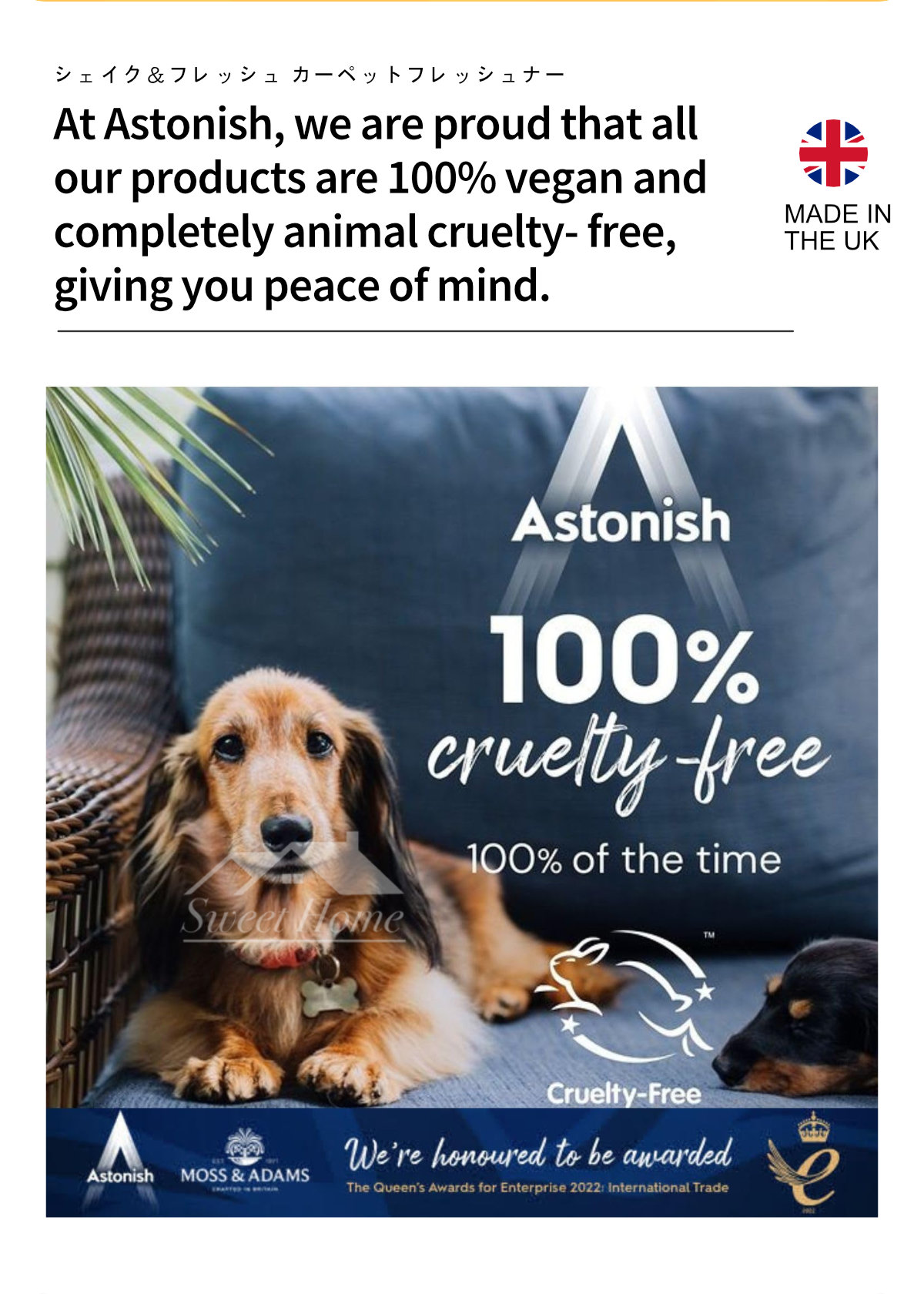 Astonish C2550 Shake-8